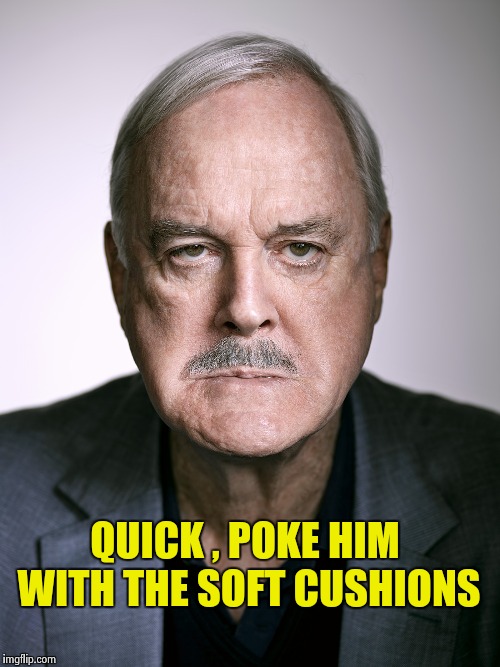 John Cleese | QUICK , POKE HIM WITH THE SOFT CUSHIONS | image tagged in john cleese | made w/ Imgflip meme maker