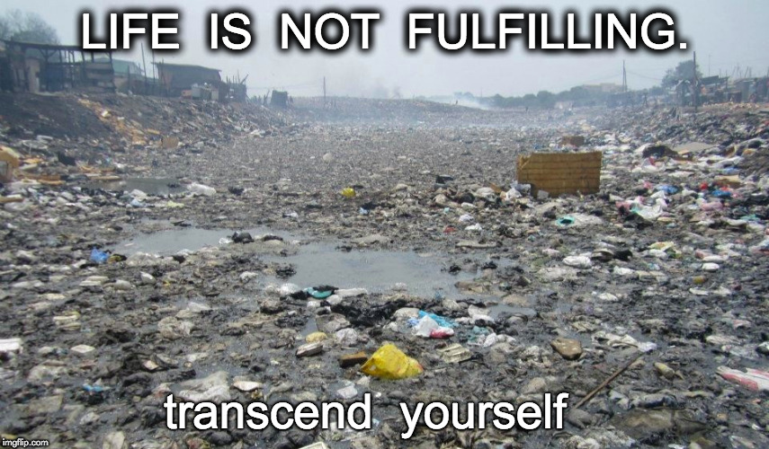 What is Life? | LIFE  IS  NOT  FULFILLING. transcend  yourself | image tagged in reality-humanity,life,adidam,adi da,ego | made w/ Imgflip meme maker