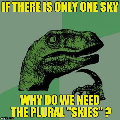 Philosoraptor Meme | IF THERE IS ONLY ONE SKY WHY DO WE NEED THE PLURAL "SKIES" ? | image tagged in memes,philosoraptor | made w/ Imgflip meme maker