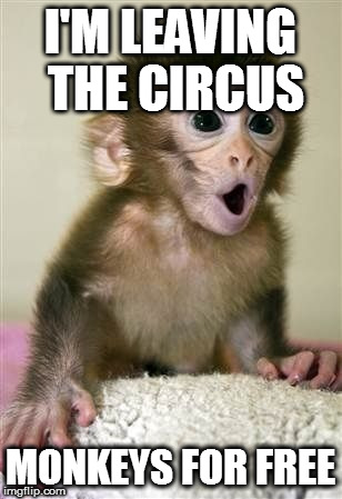 Surprised baby monkey | I'M LEAVING THE CIRCUS; MONKEYS FOR FREE | image tagged in surprised baby monkey | made w/ Imgflip meme maker