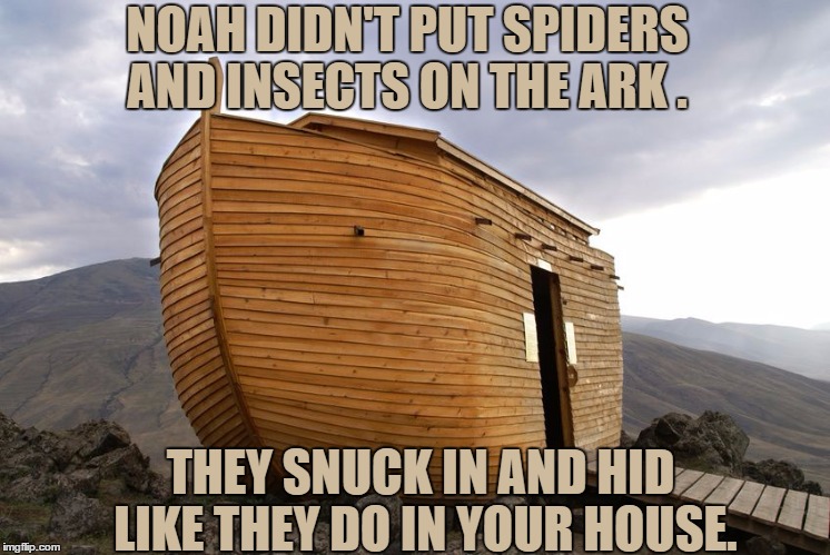 noah's ark | NOAH DIDN'T PUT SPIDERS AND INSECTS ON THE ARK . THEY SNUCK IN AND HID LIKE THEY DO IN YOUR HOUSE. | image tagged in noah's ark,bugs,spiders,funny,funny memes,scary | made w/ Imgflip meme maker