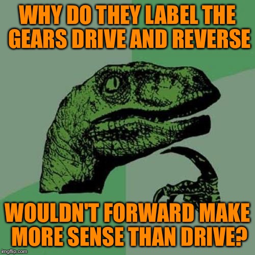 You can drive backwards you know... | WHY DO THEY LABEL THE GEARS DRIVE AND REVERSE; WOULDN'T FORWARD MAKE MORE SENSE THAN DRIVE? | image tagged in memes,philosoraptor,drive,reverse,gears | made w/ Imgflip meme maker