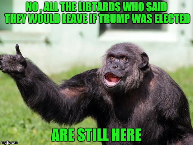 Gorilla your dreams | NO , ALL THE LIBTARDS WHO SAID THEY WOULD LEAVE IF TRUMP WAS ELECTED ARE STILL HERE | image tagged in gorilla your dreams | made w/ Imgflip meme maker