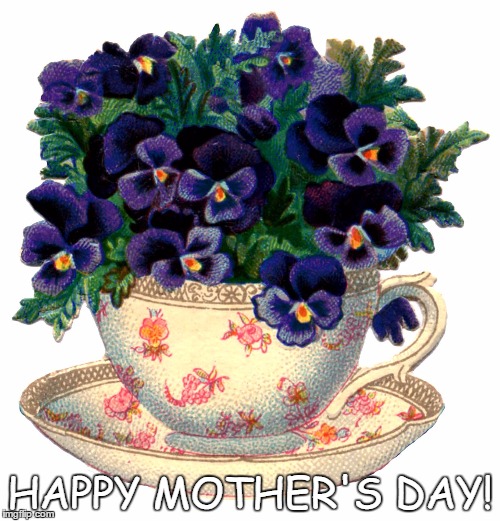For all you moms out there |  HAPPY MOTHER'S DAY! | image tagged in violas,mothers day | made w/ Imgflip meme maker
