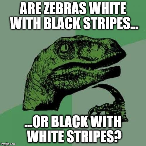 Philosoraptor Meme | ARE ZEBRAS WHITE WITH BLACK STRIPES... ...OR BLACK WITH WHITE STRIPES? | image tagged in memes,philosoraptor | made w/ Imgflip meme maker