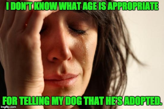 First World Problems Meme | I DON'T KNOW WHAT AGE IS APPROPRIATE; FOR TELLING MY DOG THAT HE'S ADOPTED. | image tagged in memes,first world problems | made w/ Imgflip meme maker