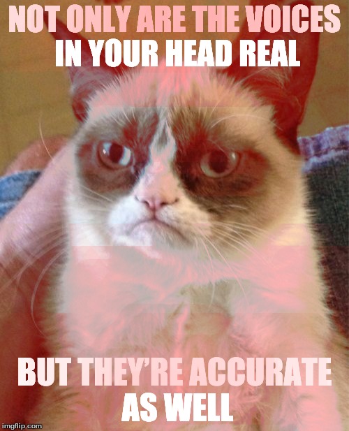 Grumpy Cat Meme | NOT ONLY ARE THE VOICES IN YOUR HEAD REAL; BUT THEY’RE ACCURATE AS WELL | image tagged in memes,grumpy cat | made w/ Imgflip meme maker