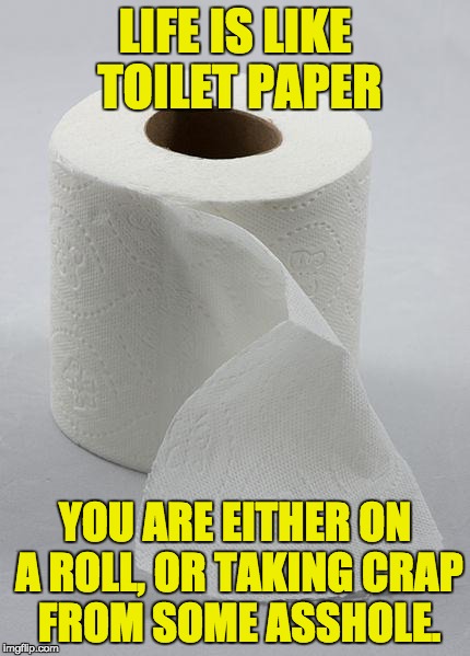 toilet paper | LIFE IS LIKE TOILET PAPER; YOU ARE EITHER ON A ROLL, OR TAKING CRAP FROM SOME ASSHOLE. | image tagged in toilet paper | made w/ Imgflip meme maker