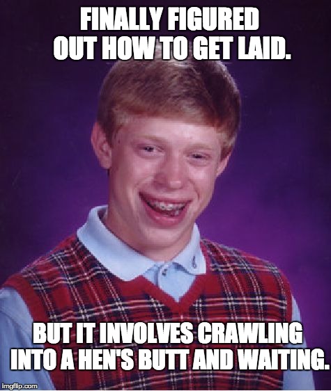 Bad Luck Brian Meme | FINALLY FIGURED OUT HOW TO GET LAID. BUT IT INVOLVES CRAWLING INTO A HEN'S BUTT AND WAITING. | image tagged in memes,bad luck brian | made w/ Imgflip meme maker
