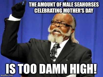 Cause, you know, they give birth too... | THE AMOUNT OF MALE SEAHORSES CELEBRATING MOTHER'S DAY; IS TOO DAMN HIGH! | image tagged in memes,too damn high | made w/ Imgflip meme maker