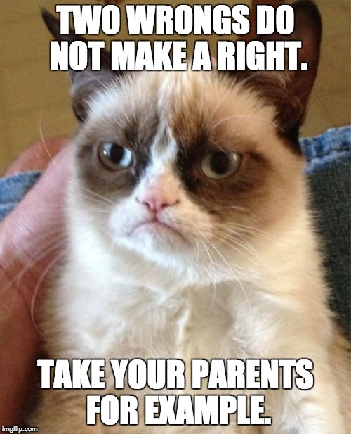 Grumpy Cat Meme | TWO WRONGS DO NOT MAKE A RIGHT. TAKE YOUR PARENTS FOR EXAMPLE. | image tagged in memes,grumpy cat | made w/ Imgflip meme maker