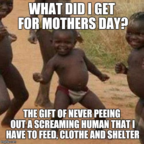 Happy mothers (or mother's) day to all of you mums, mister mums, volunteer parents and those expecting their first brat :) | WHAT DID I GET FOR MOTHERS DAY? THE GIFT OF NEVER PEEING OUT A SCREAMING HUMAN THAT I HAVE TO FEED, CLOTHE AND SHELTER | image tagged in memes,third world success kid,mothers day,mother's day | made w/ Imgflip meme maker
