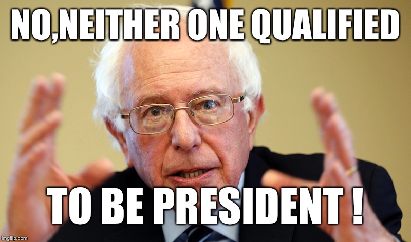 NO,NEITHER ONE QUALIFIED TO BE PRESIDENT ! | made w/ Imgflip meme maker