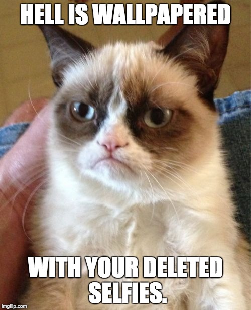 Grumpy Cat | HELL IS WALLPAPERED; WITH YOUR DELETED SELFIES. | image tagged in memes,grumpy cat | made w/ Imgflip meme maker