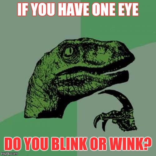 One eye | IF YOU HAVE ONE EYE; DO YOU BLINK OR WINK? | image tagged in memes,philosoraptor | made w/ Imgflip meme maker