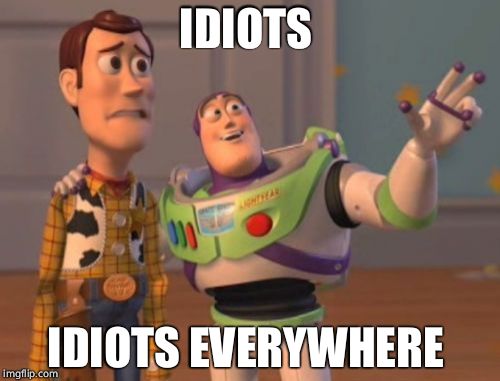 Idiots Everywhere  | IDIOTS; IDIOTS EVERYWHERE | image tagged in memes,x x everywhere | made w/ Imgflip meme maker