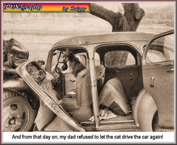 Long before Toonces | And from that day on, my dad refused to let the cat drive the car again! | image tagged in toonces,grumpy cat,car,driving,punography,memes | made w/ Imgflip meme maker