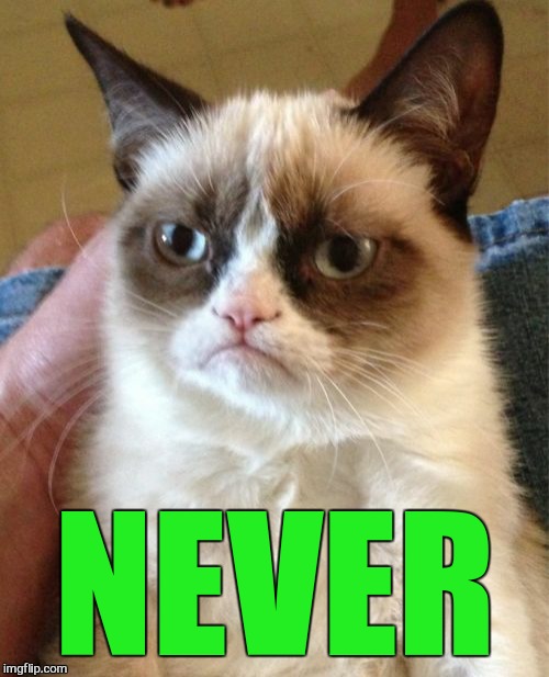 Grumpy Cat Meme | NEVER | image tagged in memes,grumpy cat | made w/ Imgflip meme maker