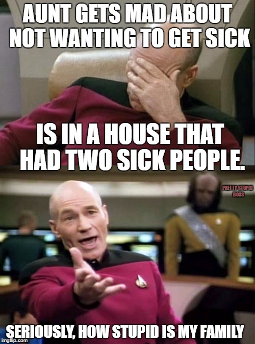 Stay in your safe space if ya don't wanna get sick. | AUNT GETS MAD ABOUT NOT WANTING TO GET SICK; IS IN A HOUSE THAT HAD TWO SICK PEOPLE. PRETTY STUPID BOSS; SERIOUSLY, HOW STUPID IS MY FAMILY | image tagged in captain picard facepalm,captain picard wtf | made w/ Imgflip meme maker