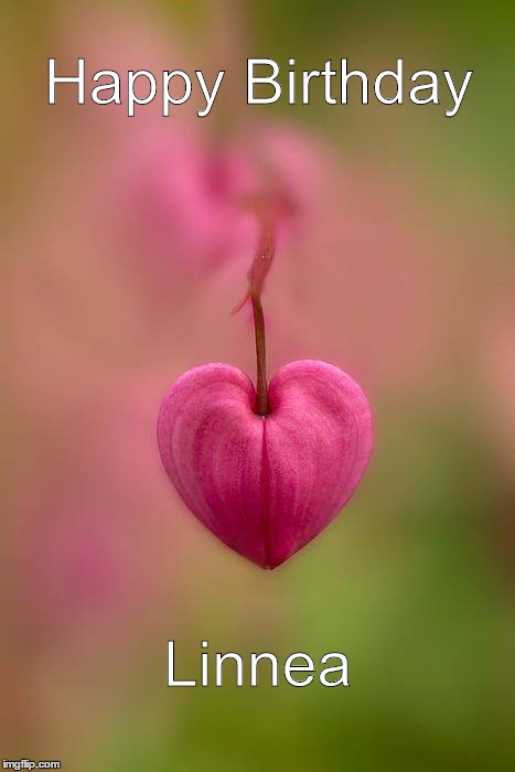 Flora Heart | Happy Birthday; Linnea | image tagged in flora heart | made w/ Imgflip meme maker