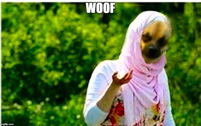 WOOF | image tagged in arabey dinkey | made w/ Imgflip meme maker