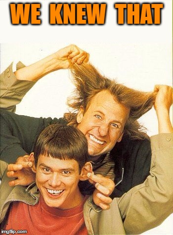 DUMB and dumber | WE  KNEW  THAT | image tagged in dumb and dumber | made w/ Imgflip meme maker