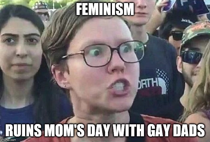Triggered Liberal | FEMINISM; RUINS MOM'S DAY WITH GAY DADS | image tagged in triggered liberal,feminism | made w/ Imgflip meme maker
