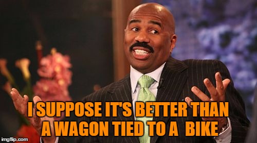 Steve Harvey Meme | I SUPPOSE IT'S BETTER THAN A WAGON TIED TO A  BIKE | image tagged in memes,steve harvey | made w/ Imgflip meme maker