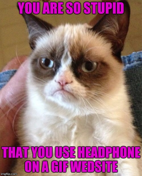 Pure Logic | YOU ARE SO STUPID; THAT YOU USE HEADPHONE ON A GIF WEDSITE | image tagged in memes,grumpy cat | made w/ Imgflip meme maker