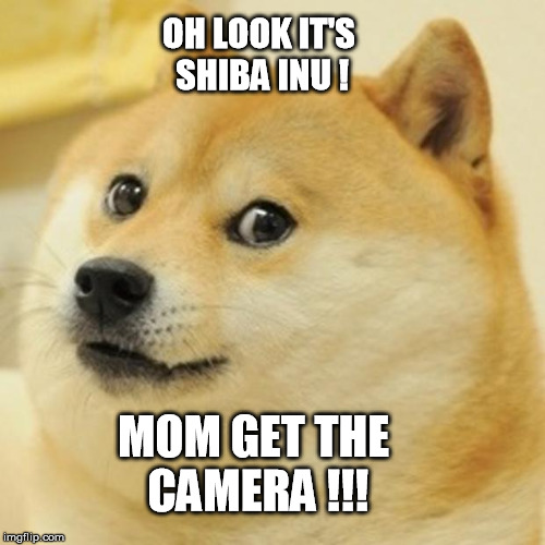 Doge Meme | OH LOOK IT'S SHIBA INU ! MOM GET THE CAMERA !!! | image tagged in memes,doge | made w/ Imgflip meme maker
