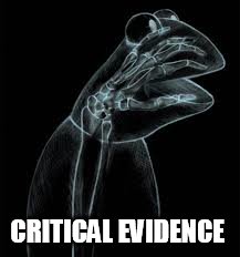 CRITICAL EVIDENCE | made w/ Imgflip meme maker