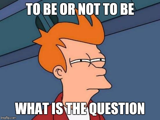 Futurama Fry Meme | TO BE OR NOT TO BE; WHAT IS THE QUESTION | image tagged in memes,futurama fry | made w/ Imgflip meme maker