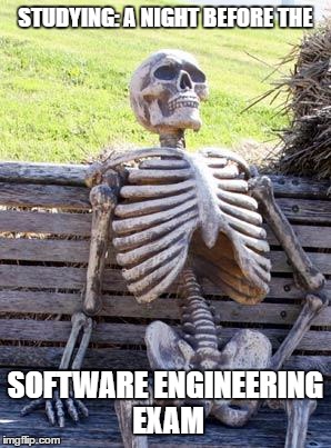 Waiting Skeleton | STUDYING: A NIGHT BEFORE THE; SOFTWARE ENGINEERING EXAM | image tagged in memes,waiting skeleton | made w/ Imgflip meme maker