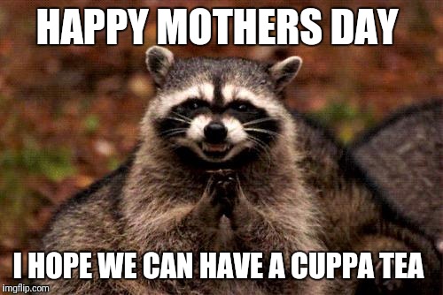 Evil Plotting Raccoon | HAPPY MOTHERS DAY; I HOPE WE CAN HAVE A CUPPA TEA | image tagged in memes,evil plotting raccoon | made w/ Imgflip meme maker