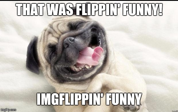 THAT WAS FLIPPIN' FUNNY! IMGFLIPPIN' FUNNY | made w/ Imgflip meme maker