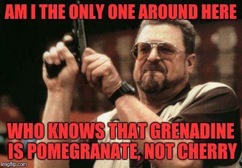 Am I The Only One Around Here Meme | AM I THE ONLY ONE AROUND HERE; WHO KNOWS THAT GRENADINE IS POMEGRANATE, NOT CHERRY | image tagged in memes,am i the only one around here | made w/ Imgflip meme maker