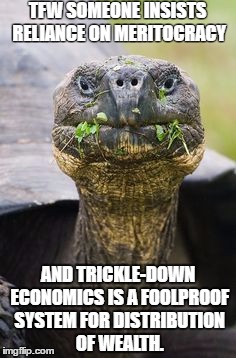 Critter Critiques | TFW SOMEONE INSISTS RELIANCE ON MERITOCRACY; AND TRICKLE-DOWN ECONOMICS IS A FOOLPROOF SYSTEM FOR DISTRIBUTION OF WEALTH. | image tagged in capitalism,inequality,income inequality | made w/ Imgflip meme maker