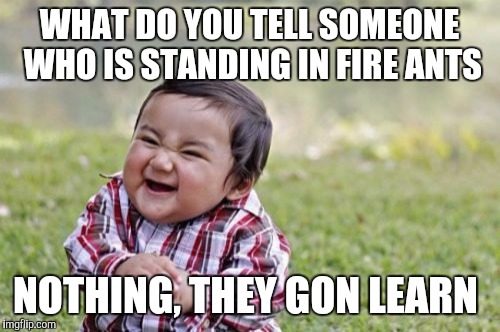 Evil Toddler | WHAT DO YOU TELL SOMEONE WHO IS STANDING IN FIRE ANTS; NOTHING, THEY GON LEARN | image tagged in memes,evil toddler | made w/ Imgflip meme maker