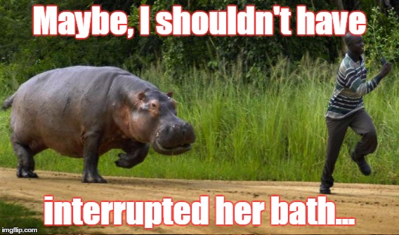 Maybe, I shouldn't have interrupted her bath... | made w/ Imgflip meme maker