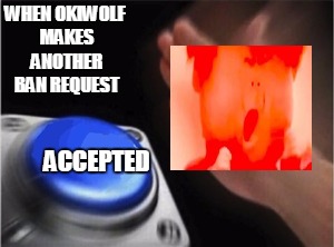 Blank Nut Button Meme | WHEN OKIWOLF MAKES ANOTHER BAN REQUEST; ACCEPTED | image tagged in blank nut button | made w/ Imgflip meme maker