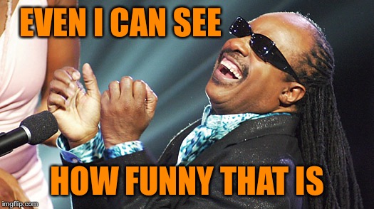 Stevie Wonder Laughing | EVEN I CAN SEE HOW FUNNY THAT IS | image tagged in stevie wonder laughing | made w/ Imgflip meme maker