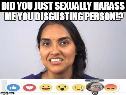 DID YOU JUST SEXUALLY HARASS ME YOU DISGUSTING PERSON!? | made w/ Imgflip meme maker