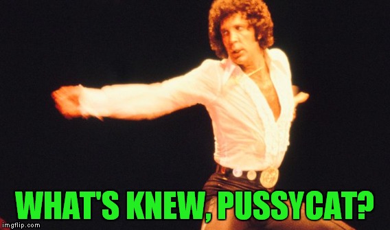 WHAT'S KNEW, PUSSYCAT? | made w/ Imgflip meme maker