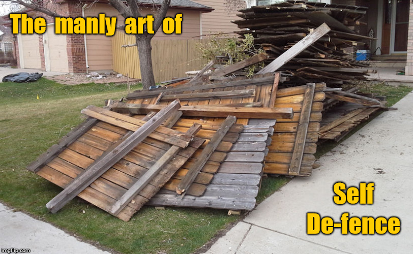 Art of Self De-fence | The  manly  art  of; Self; De-fence | image tagged in torn down fence,fence removal | made w/ Imgflip meme maker