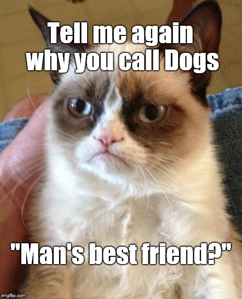 Grumpy Cat Meme | Tell me again why you call Dogs "Man's best friend?" | image tagged in memes,grumpy cat | made w/ Imgflip meme maker