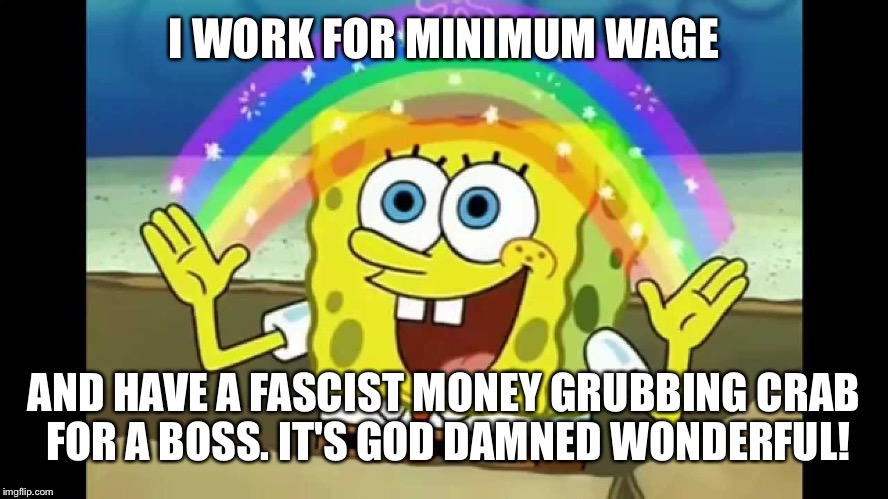 I WORK FOR MINIMUM WAGE AND HAVE A FASCIST MONEY GRUBBING CRAB FOR A BOSS. IT'S GO***AMNED WONDERFUL! | made w/ Imgflip meme maker