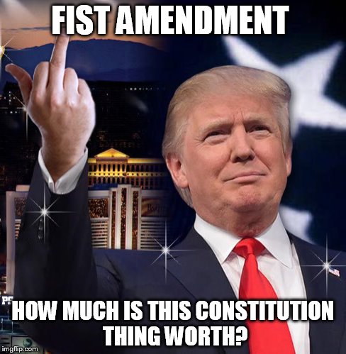 Thanks Amerika | FIST AMENDMENT; HOW MUCH IS THIS CONSTITUTION THING WORTH? | image tagged in trump,dump trump | made w/ Imgflip meme maker