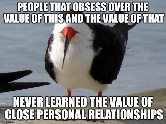 But That's None of my Business | PEOPLE THAT OBSESS OVER THE VALUE OF THIS AND THE VALUE OF THAT; NEVER LEARNED THE VALUE OF CLOSE PERSONAL RELATIONSHIPS | image tagged in even less popular opinion bird,unpopular opinion puffin,memes,mothers day | made w/ Imgflip meme maker