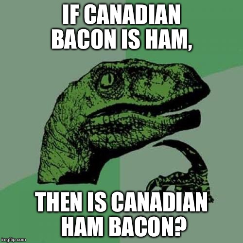 Philosoraptor | IF CANADIAN BACON IS HAM, THEN IS CANADIAN HAM BACON? | image tagged in memes,philosoraptor | made w/ Imgflip meme maker