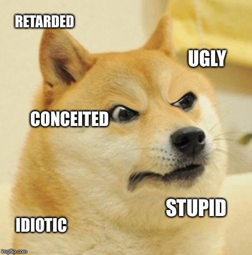 Disappointed Doge | RETARDED; UGLY; CONCEITED; STUPID; IDIOTIC | image tagged in disappointed doge | made w/ Imgflip meme maker